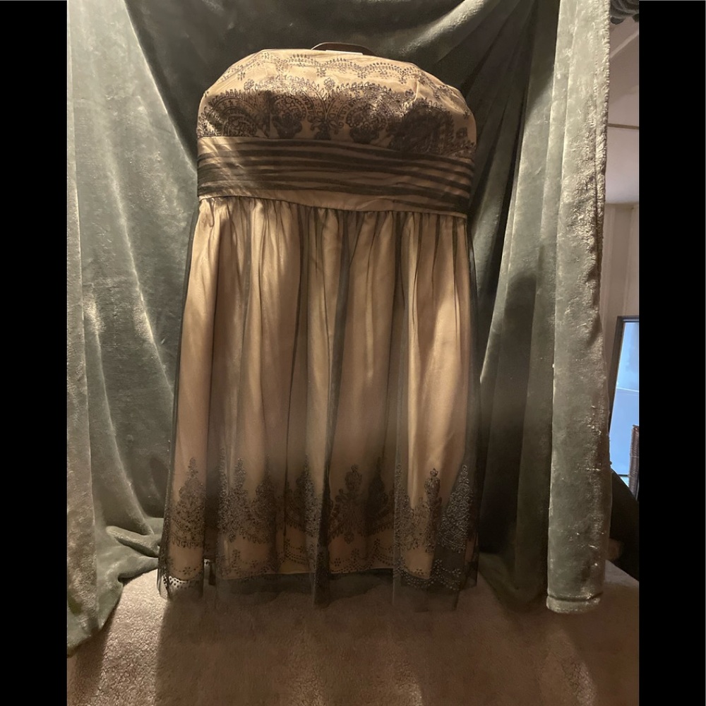 Cocktail Dress